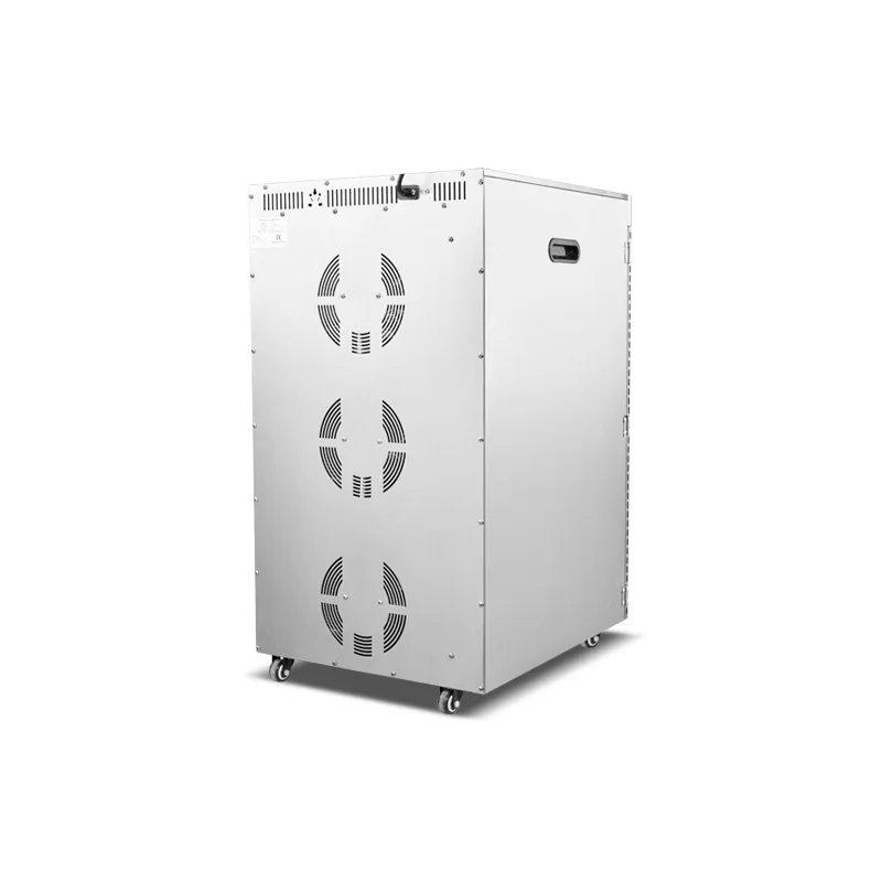 SS-20H commercial food dehydrator rear view